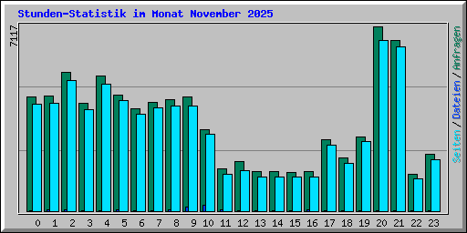 Stunden-Statistik im Monat November 2025