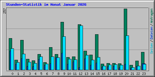 Stunden-Statistik im Monat Januar 2026